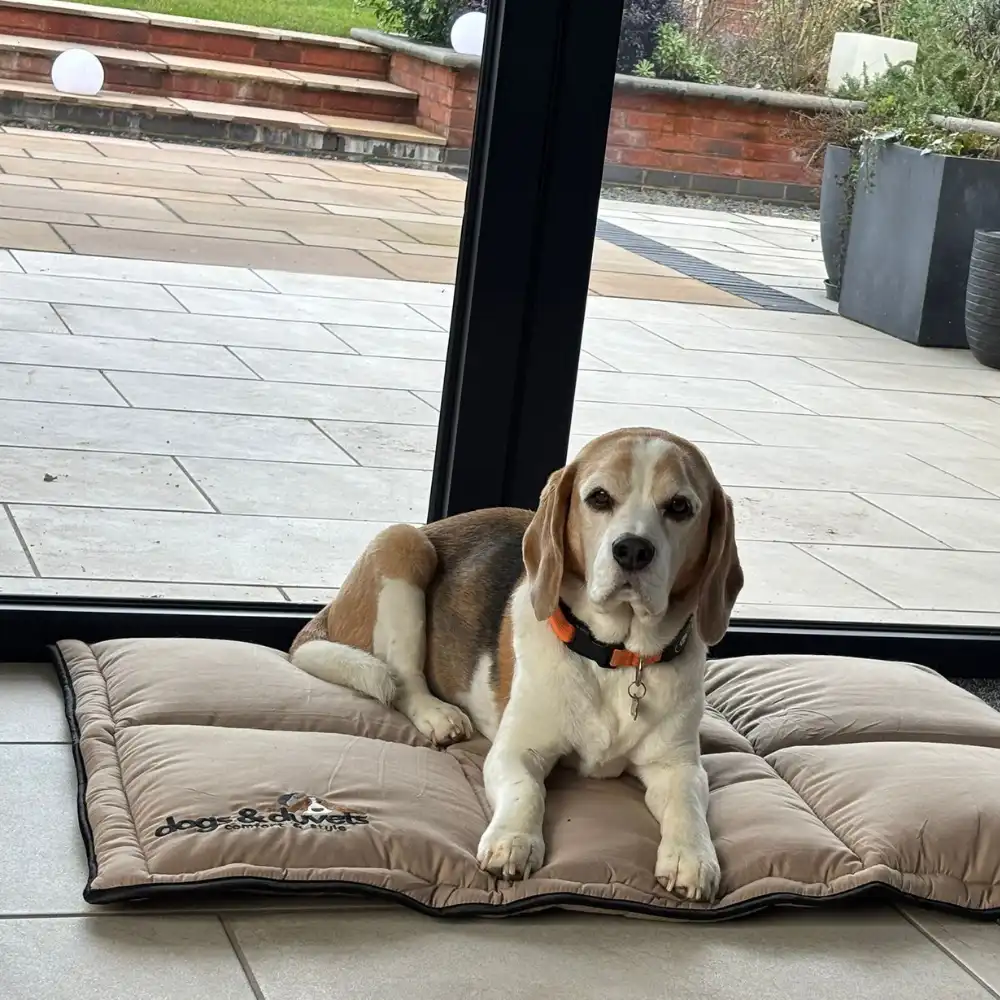 Dogs & Duvets Crate Dog Bed - Harvey Lifestyle